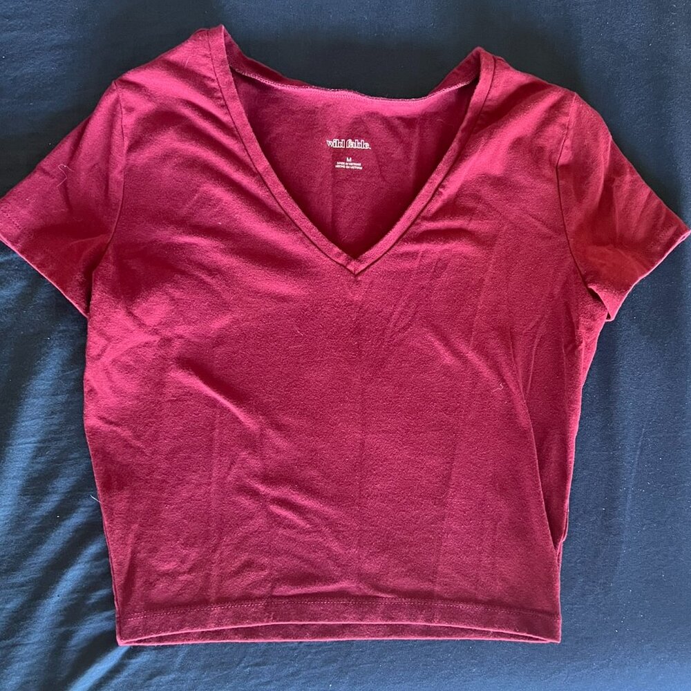 Wild Fable Crop Top Maroon